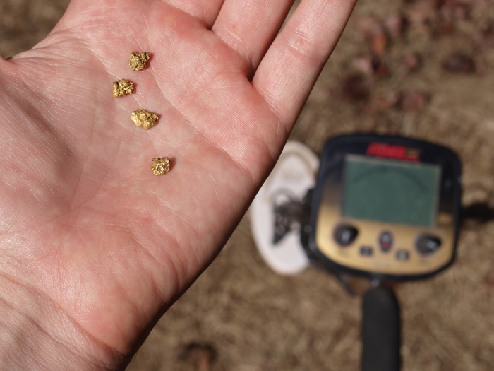 gold nuggets found