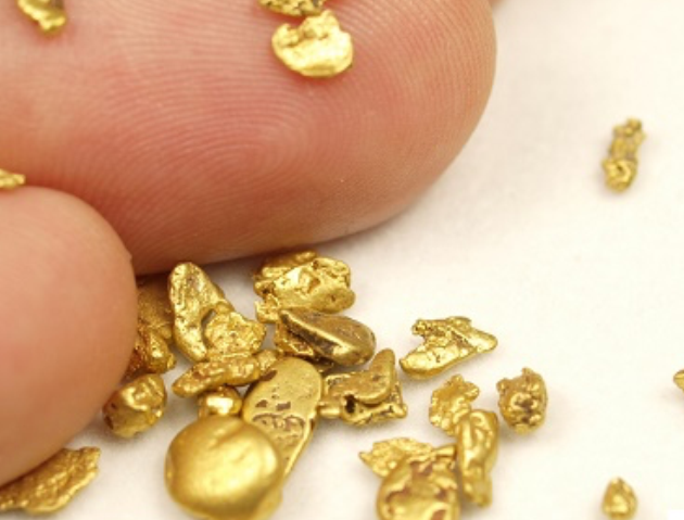 Gold Prospecting