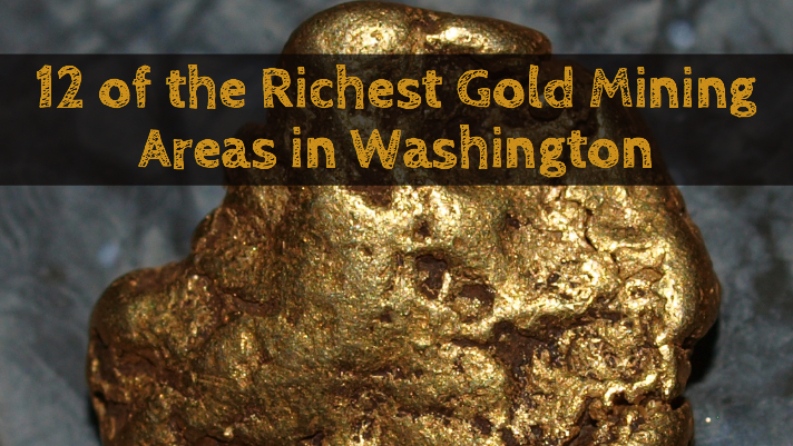 Washington Gold Panning 