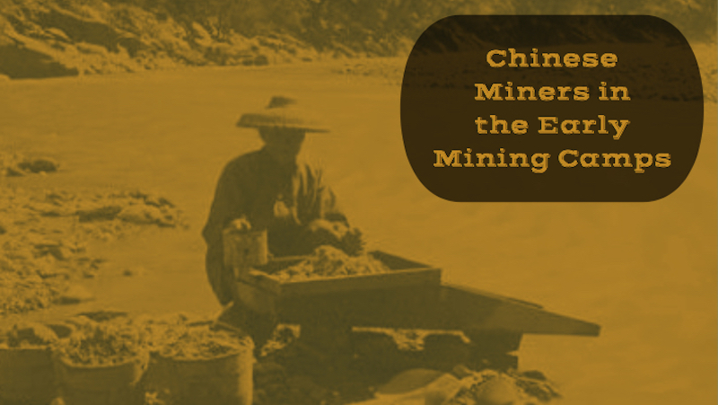 Chinese Miner in California