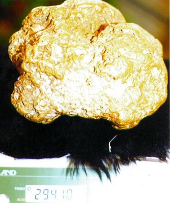 Alaskan Huge Gold Nugget