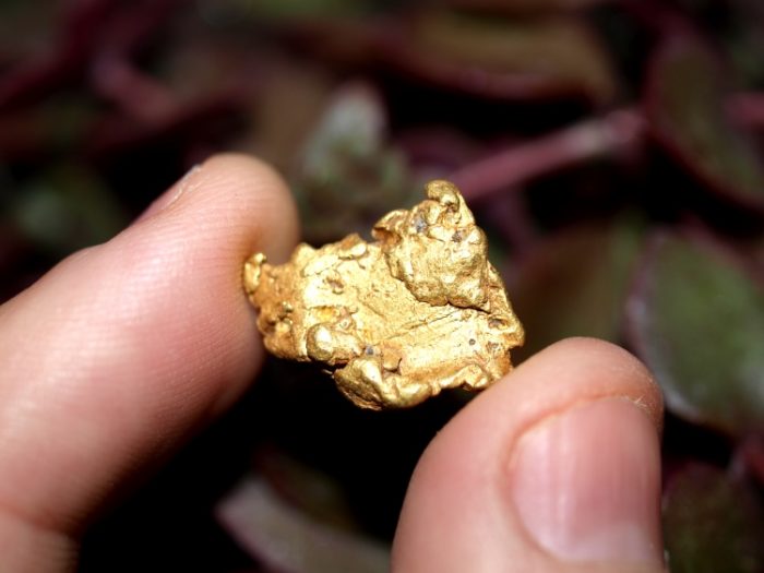 Plenty of Gold Panning Areas in California How to Find Gold Nuggets