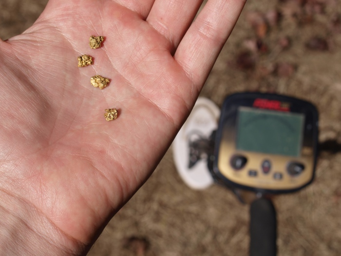 What Is The Best Gold Metal Detector For Finding Gold Nuggets How To Find Gold Nuggets