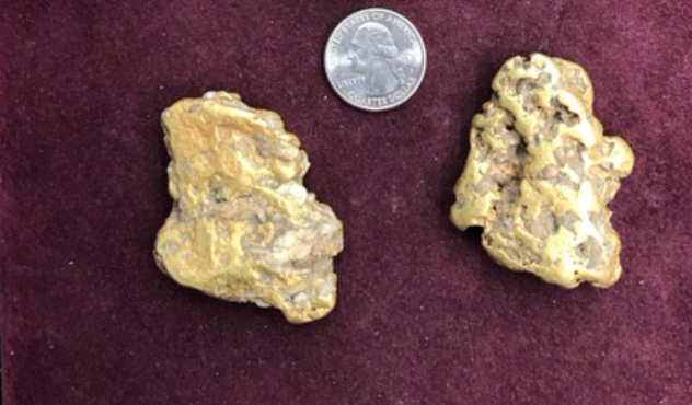 Gold Nuggets from a Dredge