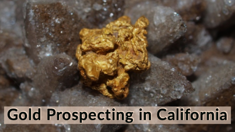 California Gold Mining