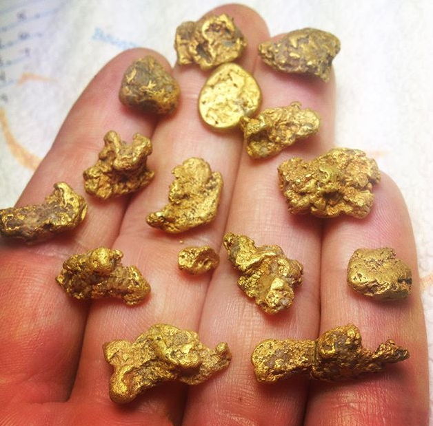 Handful of Idaho Gold
