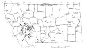 Gold Prospecting in Montana - How to Find Gold Nuggets