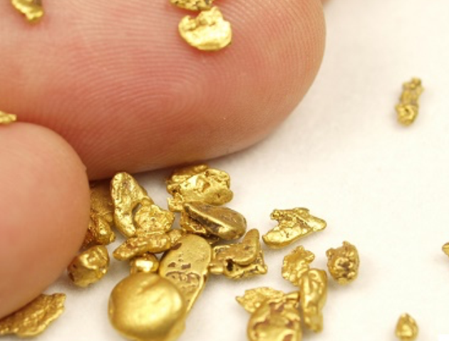 Gold Prospecting in Nevada 