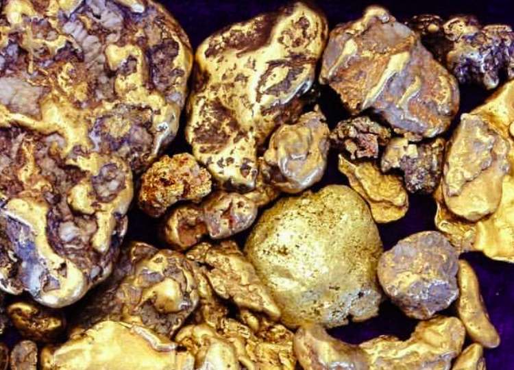 Lucky Searching for Large Gold Nuggets and Specimens in Tailings Heaps