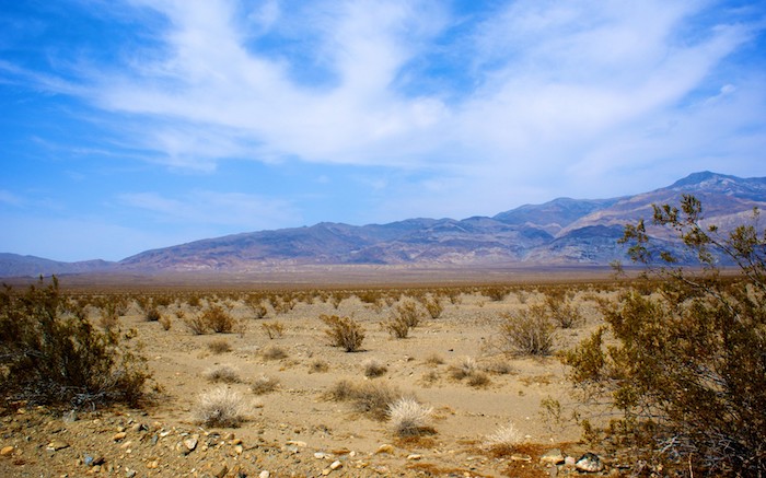 Mojave Gold Mine