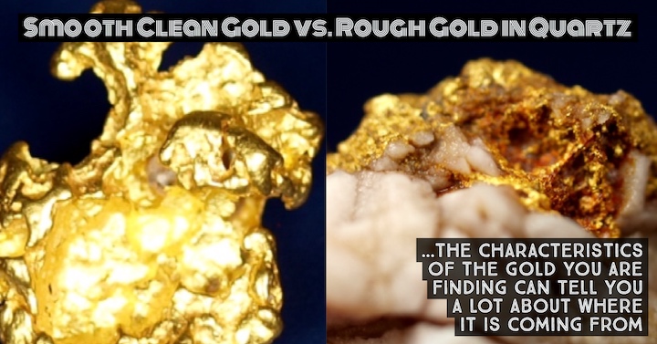 Study your Gold Nuggets