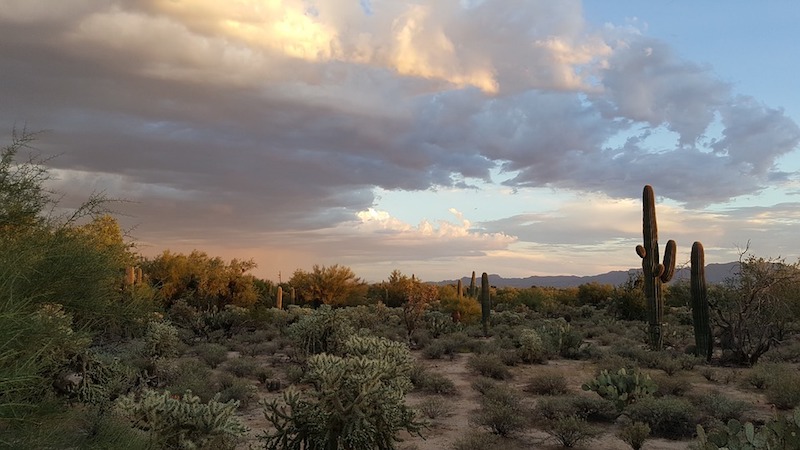 Boot of Cortez: The Largest Gold Nugget Ever Discovered 