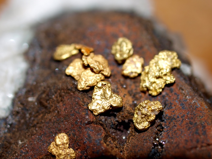 Mining gold in Feather River