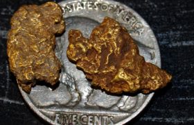 Great Basin Desert Gold