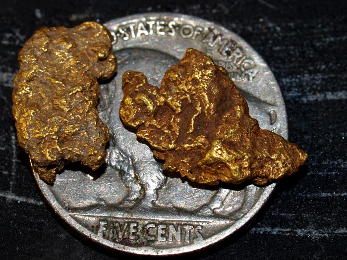 Great Basin Desert Gold