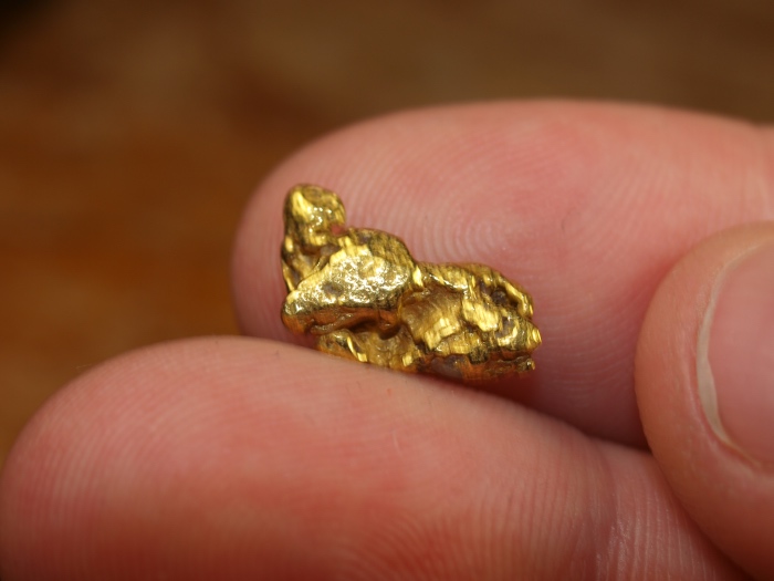 Gold Nugget Mining Wyoming