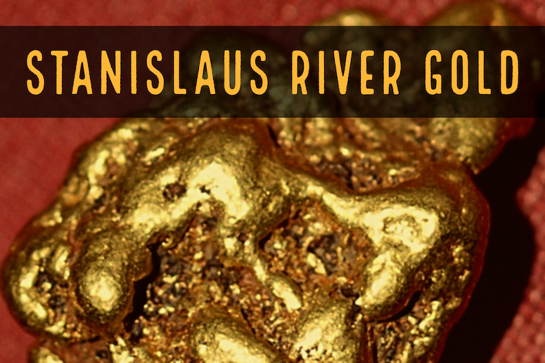 Stanislaus Forest Gold Prospector