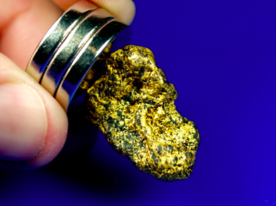 Gold Magnet orpaillage 4 kilos 