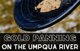 Panning Gold Umpqua River