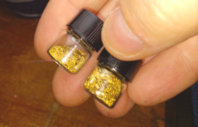 Oregon gold panning