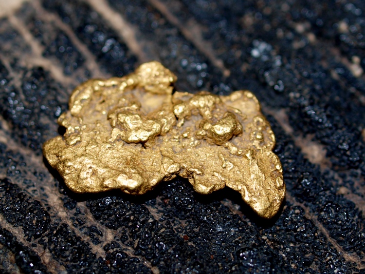 gold nugget purity varies